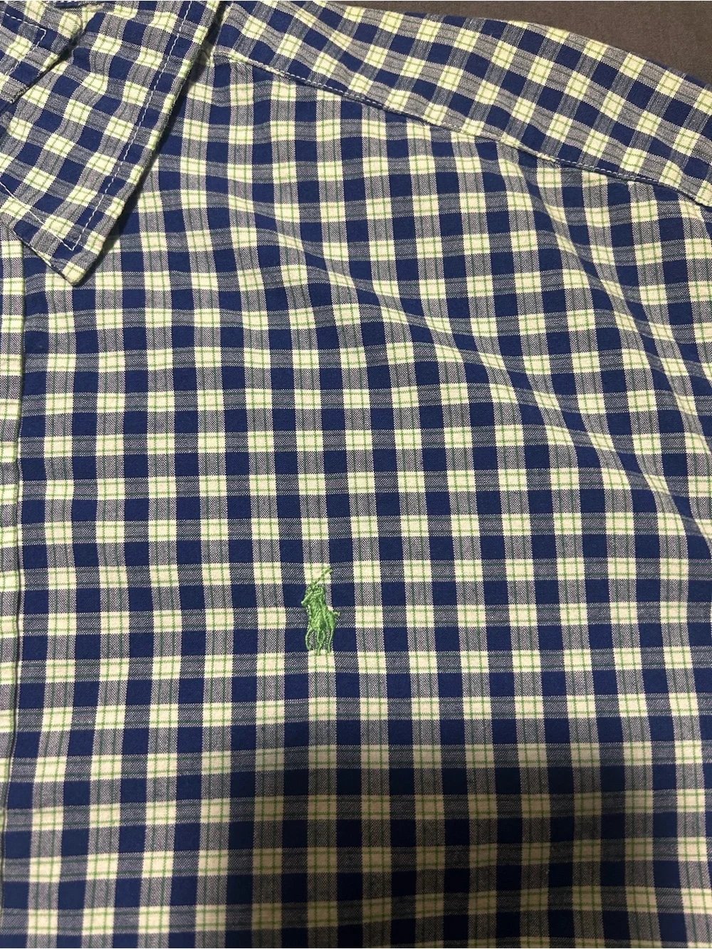 Ralph Lauren Blue and White Check Button-Down Shirt with Green Polo Logo